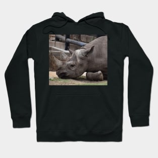 Black Rhino Hoodie